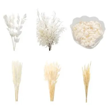 Dried-Bleached-Combo-Boxes PetalDriven