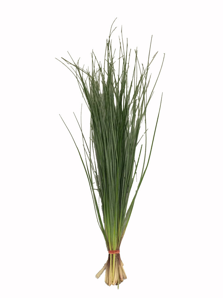 Bear Grass - 10 Bunch Pack