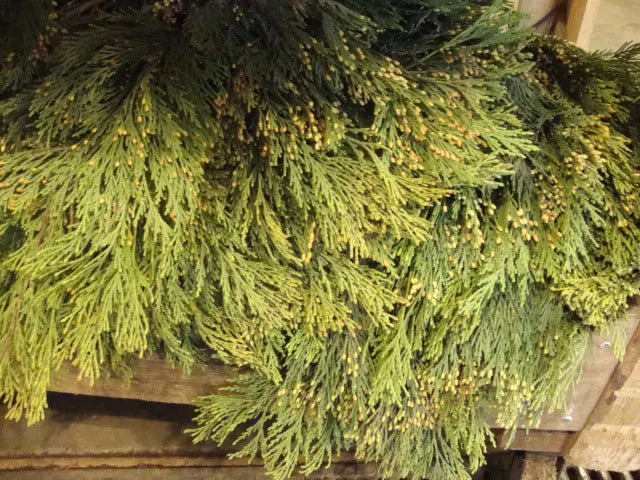 Ashlyn Carter Wintery White Floral Arrangements - Tutorial Included PetalDrivenCom