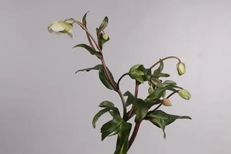 Ashlyn Carter Wintery White Floral Arrangements - Tutorial Included PetalDrivenCom