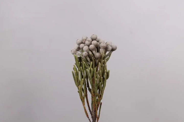 Ashlyn Carter Wintery White Floral Arrangements - Tutorial Included PetalDrivenCom