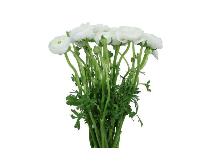 Ashlyn Carter Wintery White Floral Arrangements - Tutorial Included PetalDrivenCom