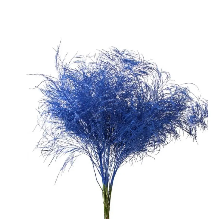 Asparagus Tree Fern Painted  - 5 Bunches