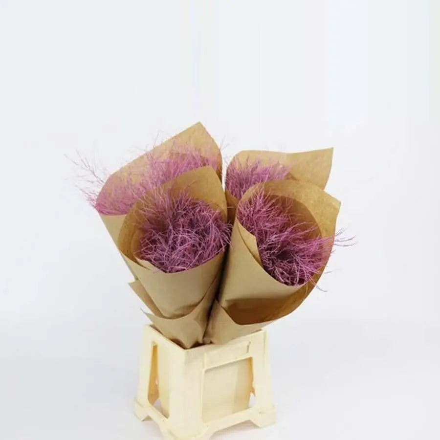 Asparagus Tree Fern Painted  - 5 Bunches