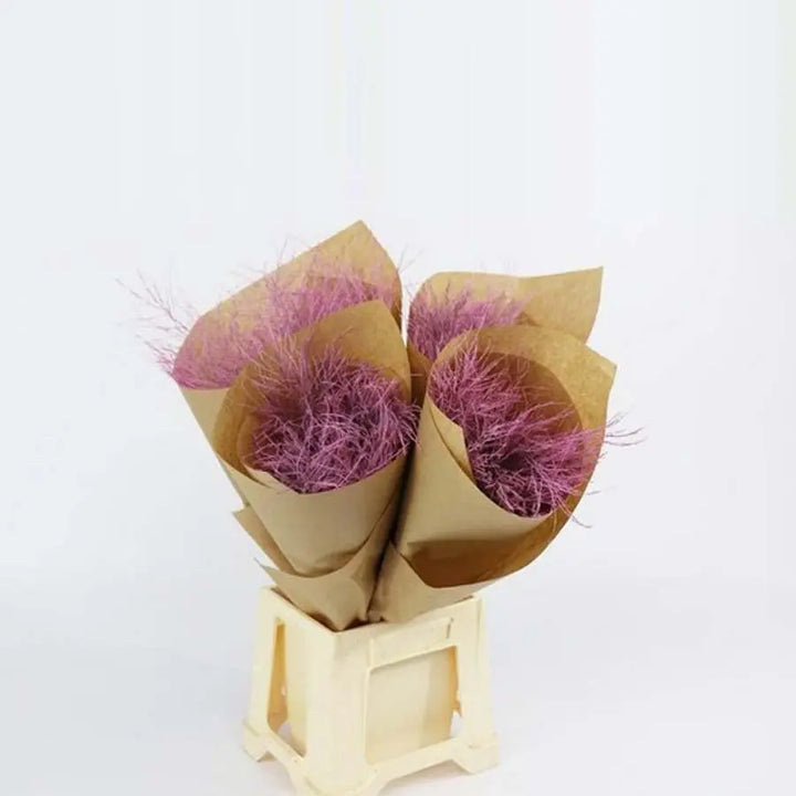 Asparagus Tree Fern Painted  - 5 Bunches