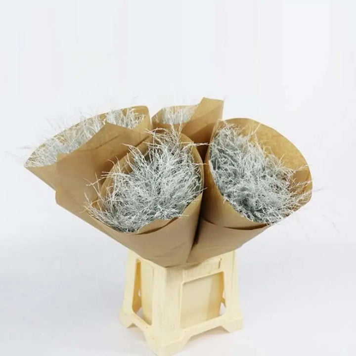 Asparagus Tree Fern Painted  - 5 Bunches