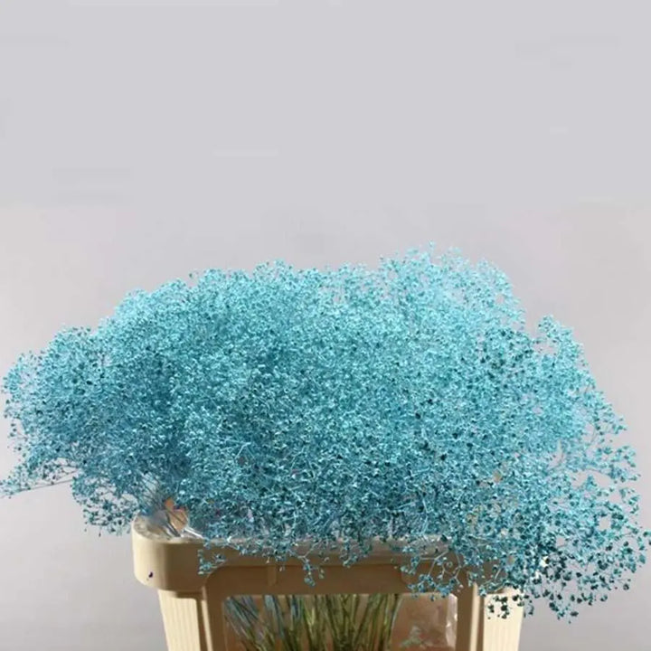 Baby's Breath Painted