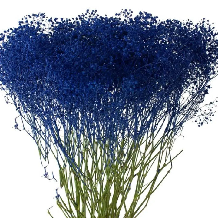 Baby's Breath Painted