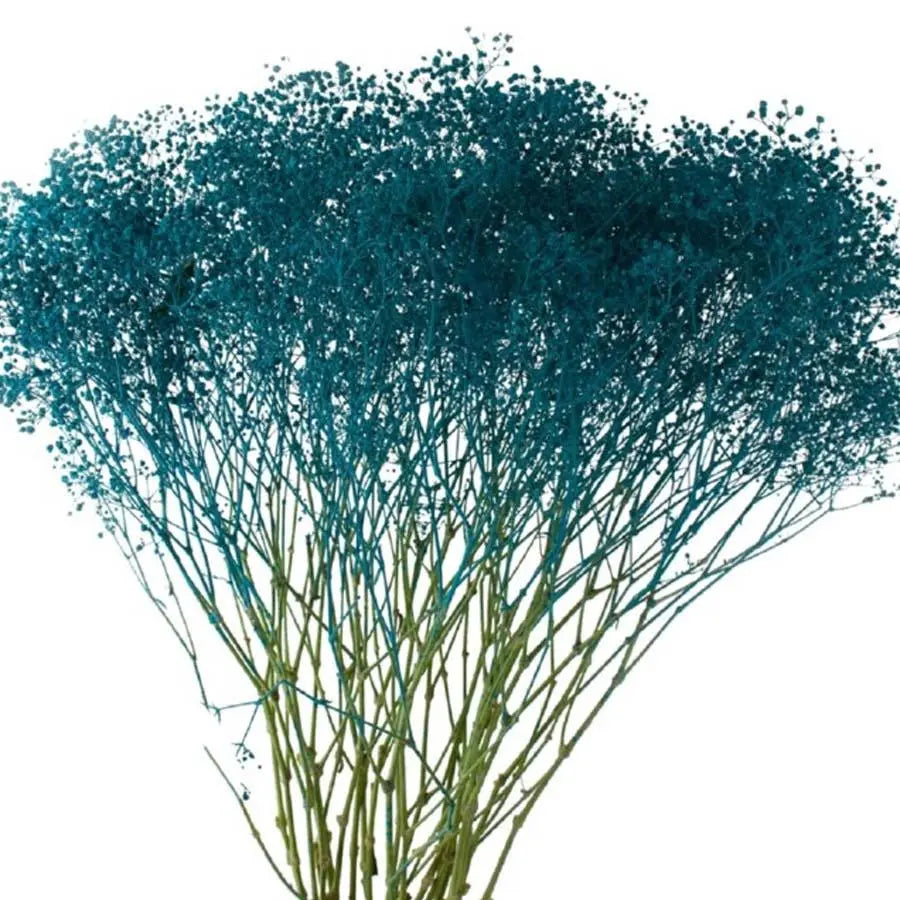 Baby's Breath Painted