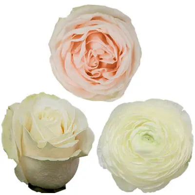 Soft White and Peach PetalKit PetalDrivenCom