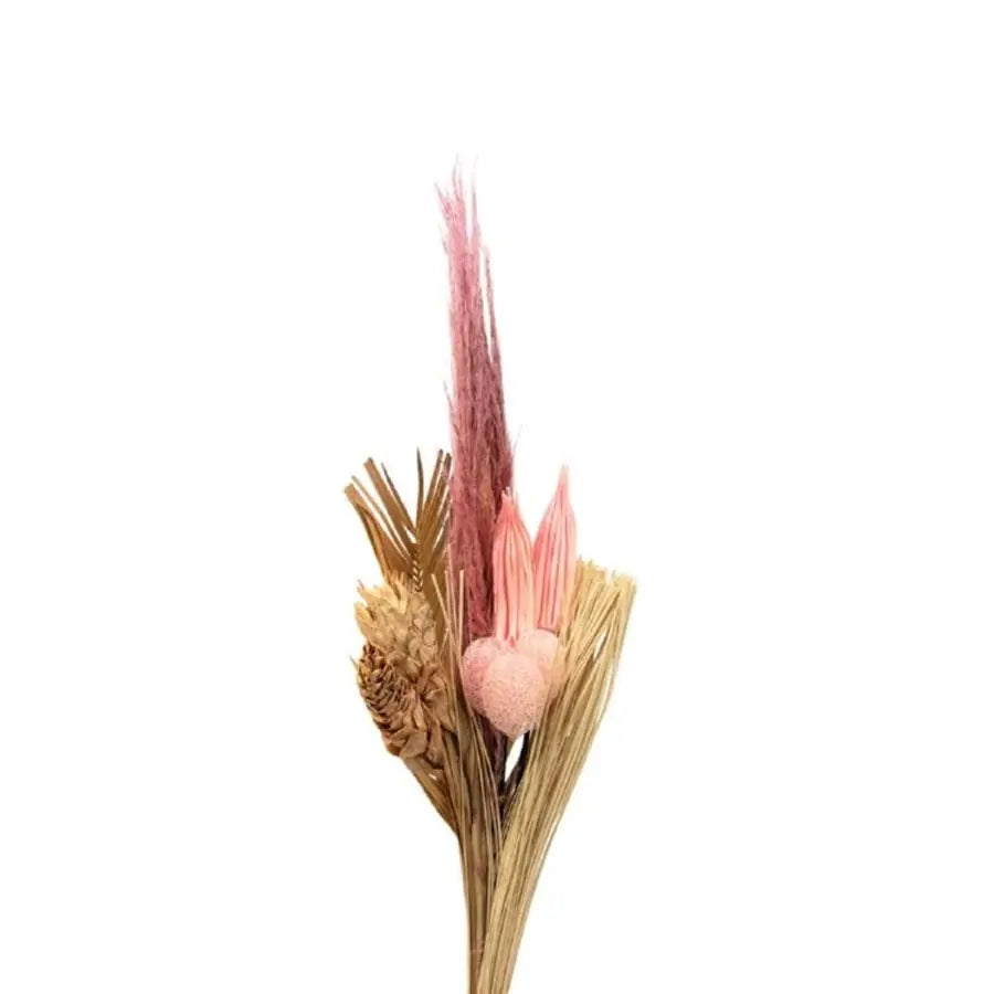 Dried Bouquets Blush - 12 Bouquets