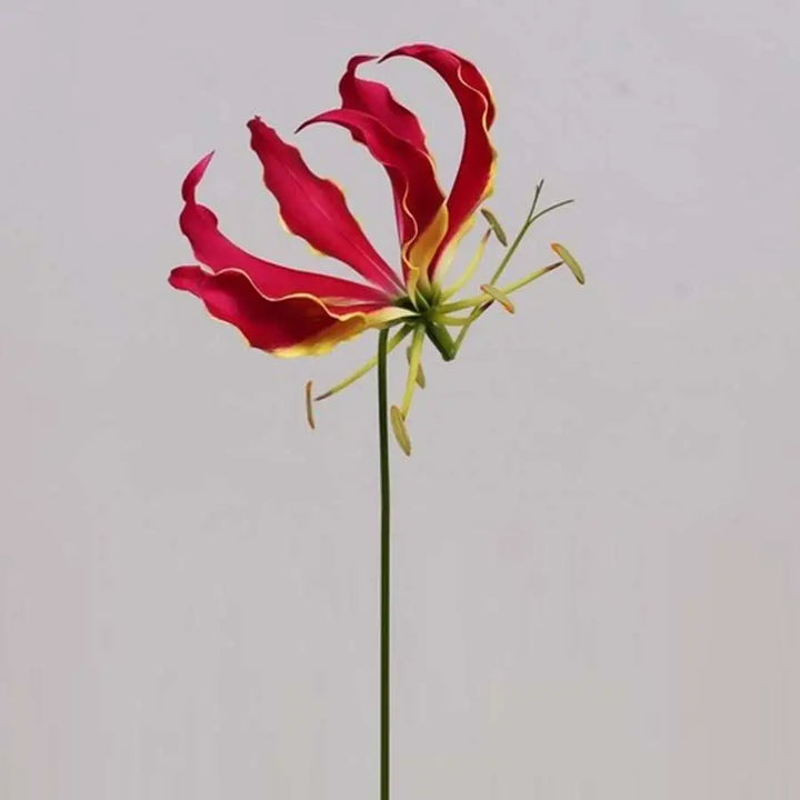 Gloriosa Red - 10 Stem Bunch