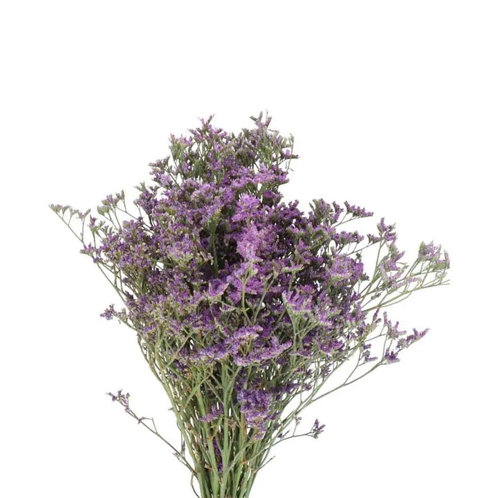 Limonium Maine Blue - 25 Stem Bunch Holex Dutch