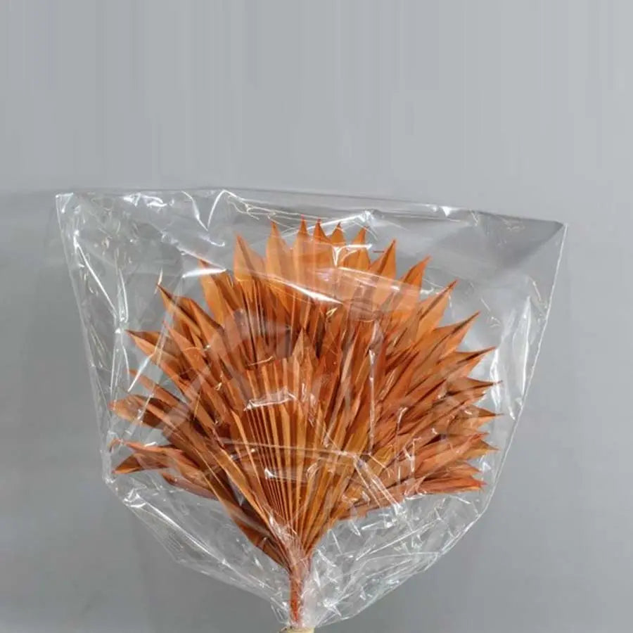 Palm Sun (Dried) - 5 Bunches - Halloween Colors Holex Dutch