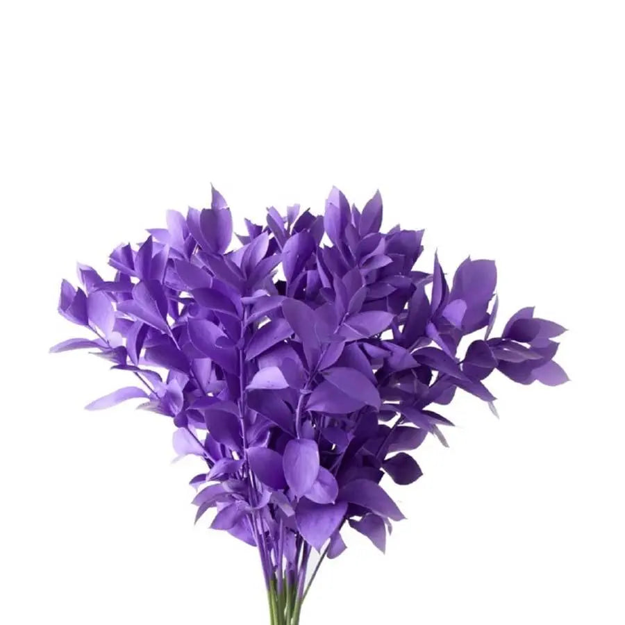 Ruscus Painted - 50 Stem Bunch