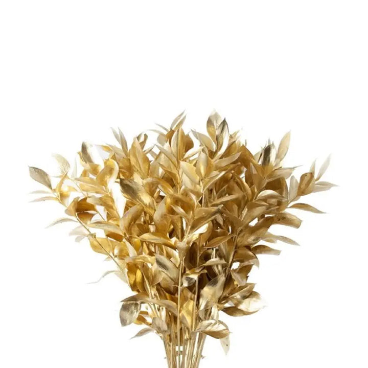 Ruscus Painted - 50 Stem Bunch