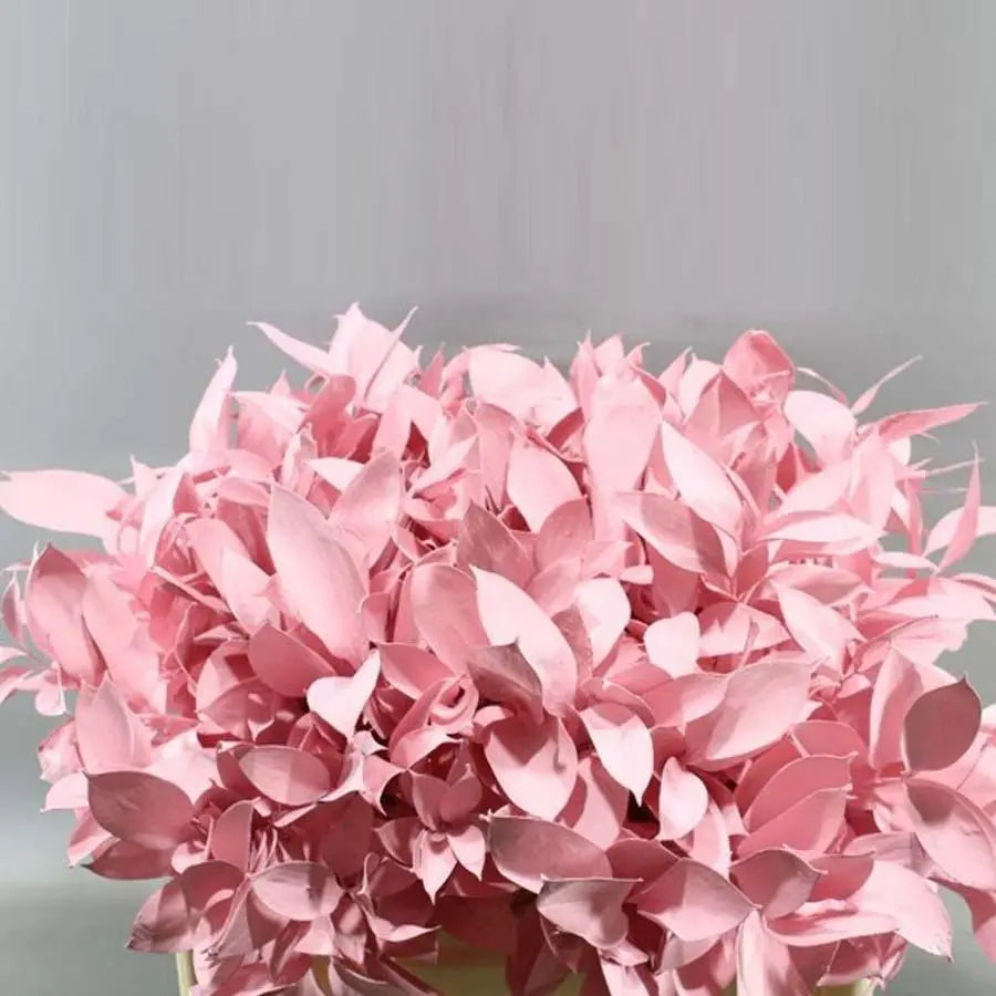 Ruscus Painted - 50 Stem Bunch