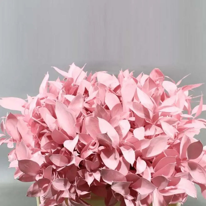 Ruscus Painted - 50 Stem Bunch