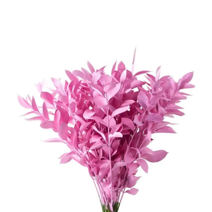 Ruscus Painted - 50 Stem Bunch