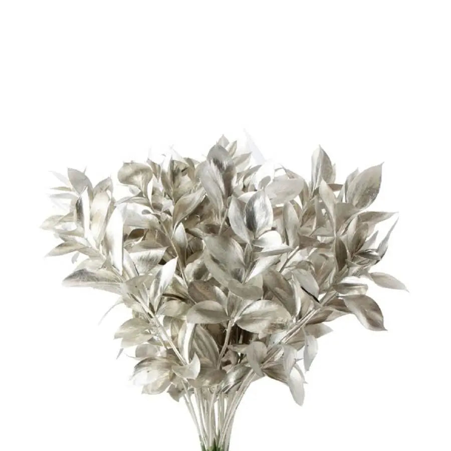 Ruscus Painted - 50 Stem Bunch
