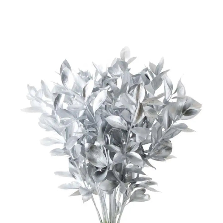 Ruscus Painted - 50 Stem Bunch