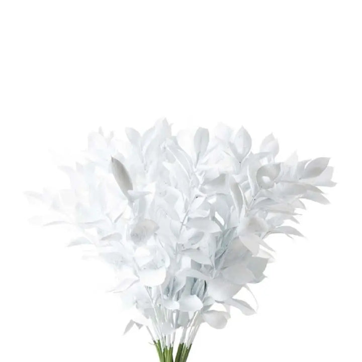 Ruscus Painted - 50 Stem Bunch