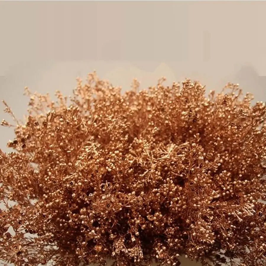 Waxflower Painted - 25 Stem Bunch