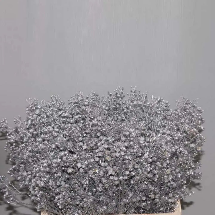 Waxflower Painted - 25 Stem Bunch