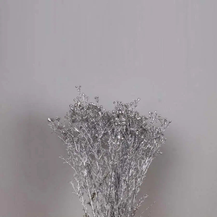 Waxflower Painted - 25 Stem Bunch