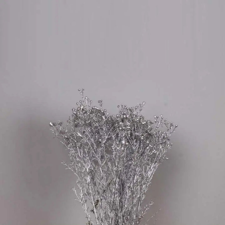 Waxflower Painted - 25 Stem Bunch