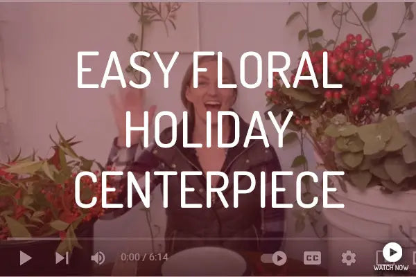 Easy-Floral-Holiday-Centerpiece-Tutorial PetalDriven