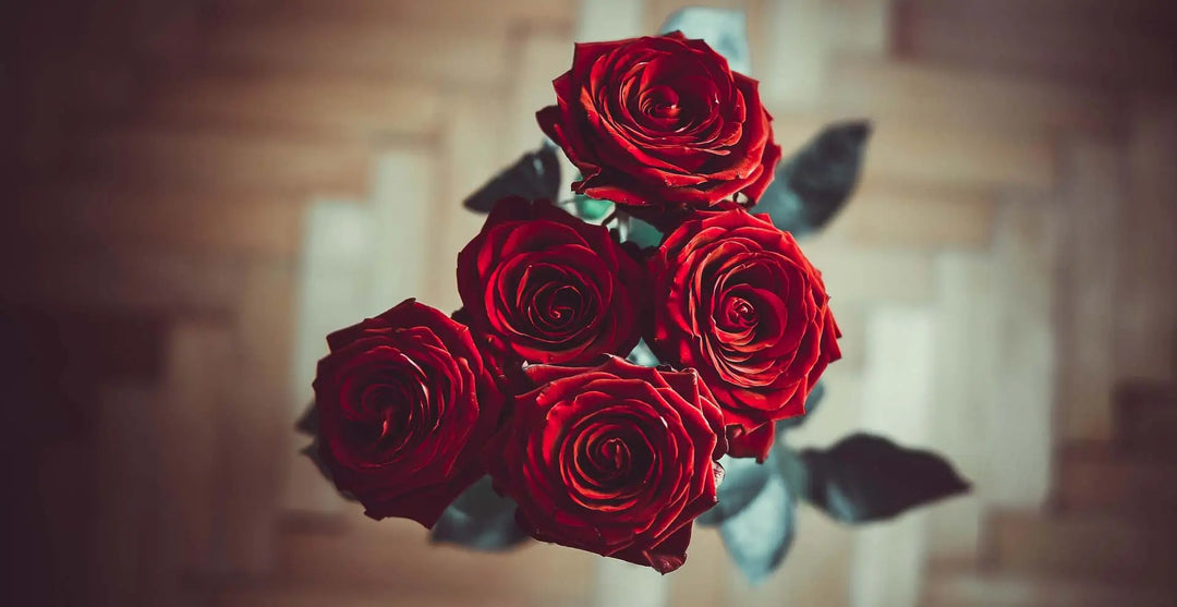 Focal-Flowers PetalDriven