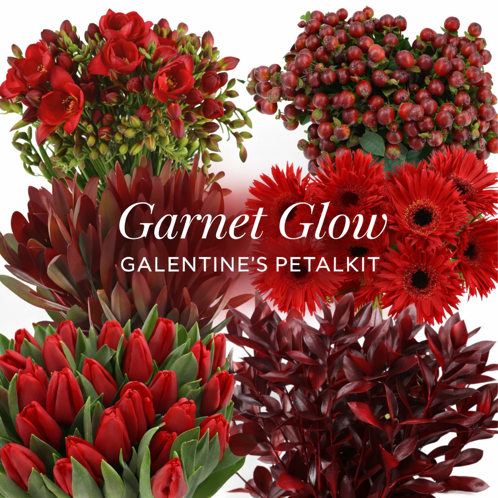 Garnet Glow Galentine's PetalKit