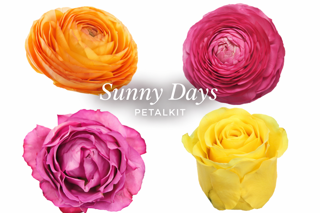 Sunny Days PetalKit