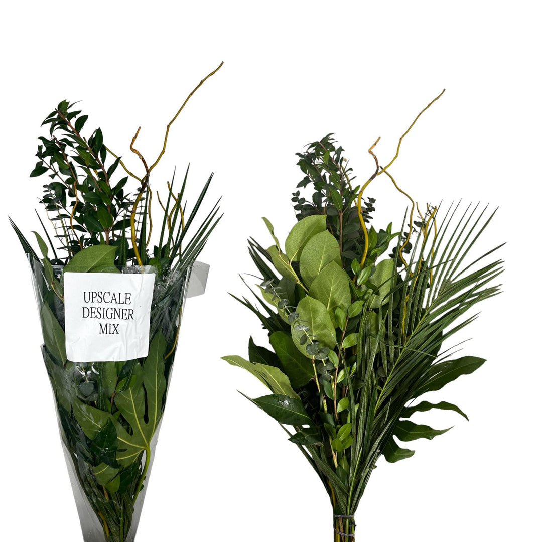 Upscale Designer Mix