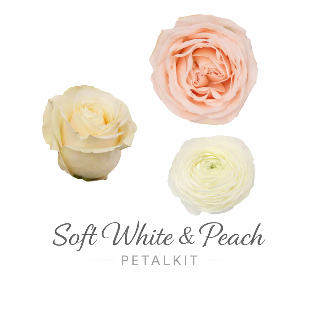 Soft White and Peach PetalKit