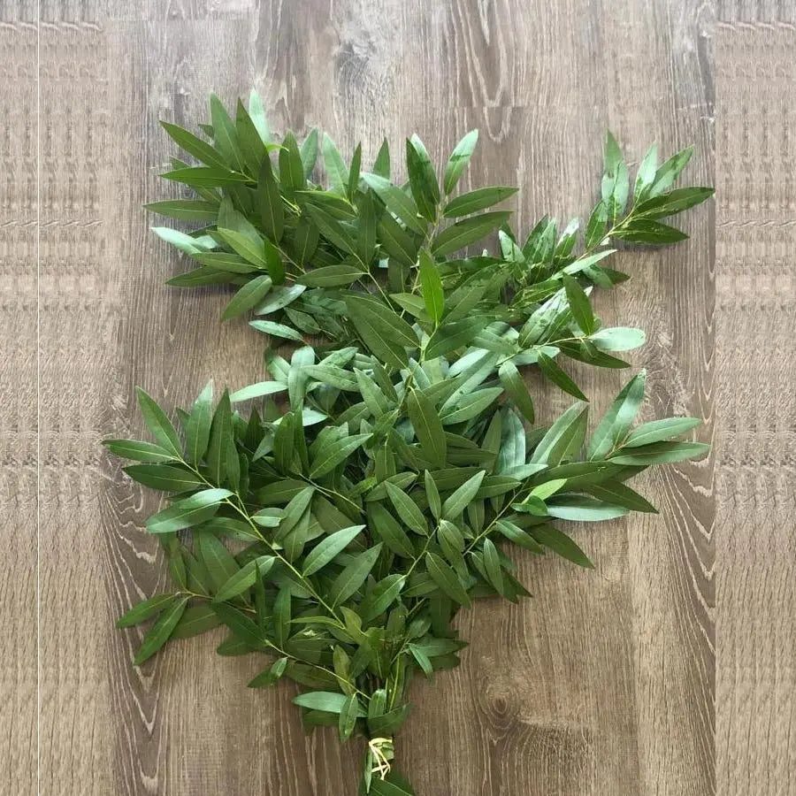 Bay Leaf - 10 Bunch Box HDB