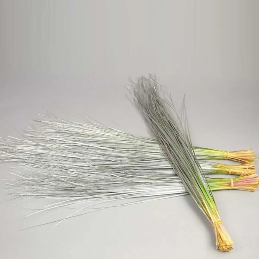 Bear Grass Painted - 5 Bunches