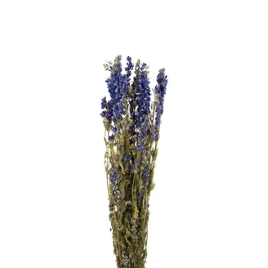 Dried Delphinium Blue Natural - 25 Bunches
