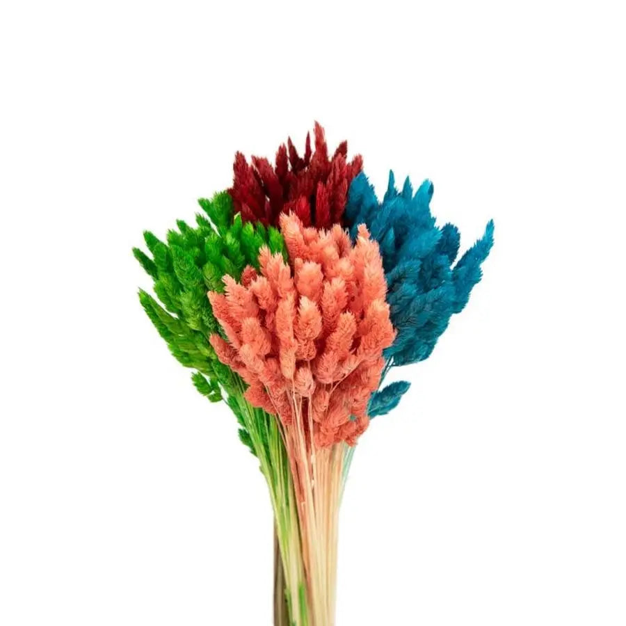 Dried Orchard Grass Mixed Colors - 20 Bunches