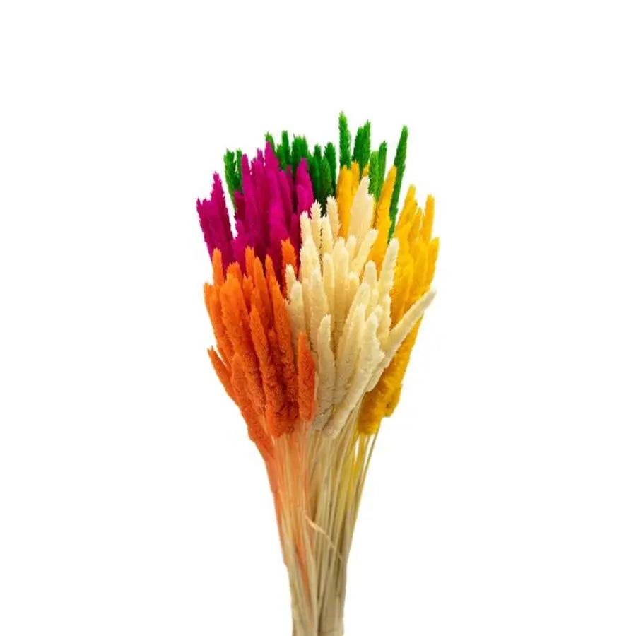 Dried Typha Assorted Colors - 25 Bunches