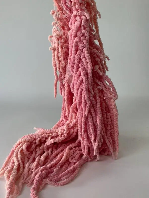 Amaranthus Hanging Bleached Pink Holex Dutch
