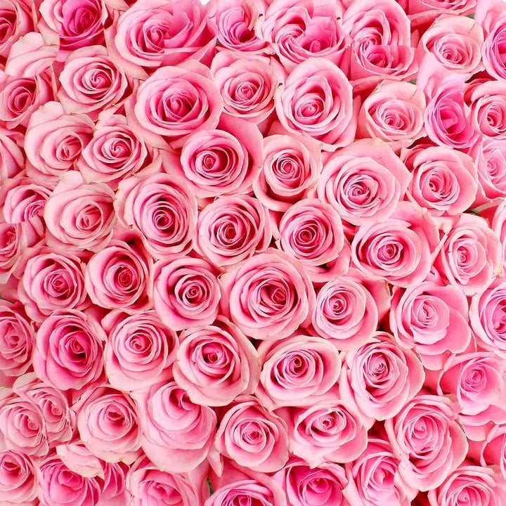 Traditional Pink Rose PetalKit PetalDrivenCom