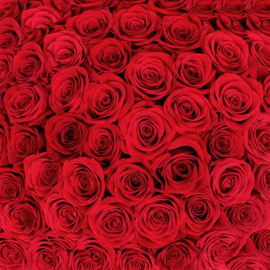 Traditional Red Rose PetalKit PetalDrivenCom