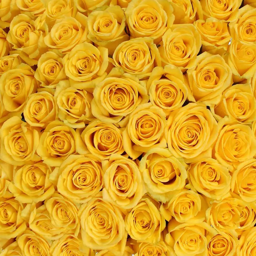 Traditional Yellow Rose PetalKit PetalDrivenCom