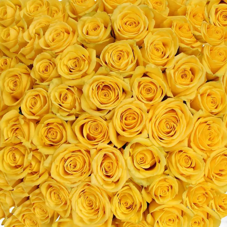 A bundle of 100 long-stemmed yellow roses from Ecuador featuring large, vibrant heads and thick stems.